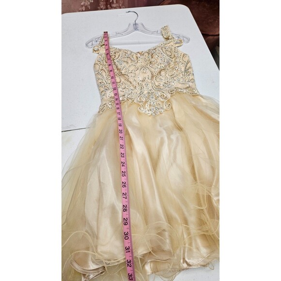 NWT Anny Lee Tan Sleeveless V Neck A Line Embroidered Zip Women's Dress Size S - Picture 2 of 14